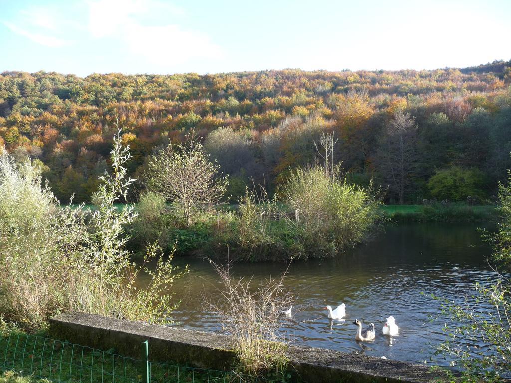 Le Moulin Berthon Panzió Vernusse Kültér fotó