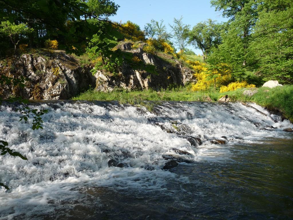 Le Moulin Berthon Panzió Vernusse Kültér fotó